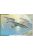 Special Hobby - Fieseler Fi 103 V-1