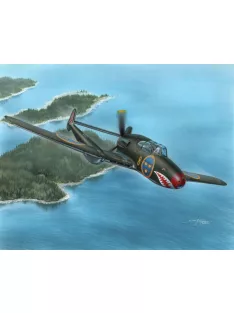 Special Hobby - Saab J-21A