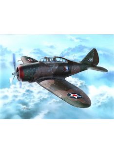 Special Hobby - P-35 War games and War Training