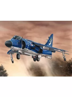 Special Hobby - Sea Harrier FA.2 Hi-tech