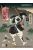 Suyata - Sannshirou From The Sengoku-Ashigaru With Black Armor