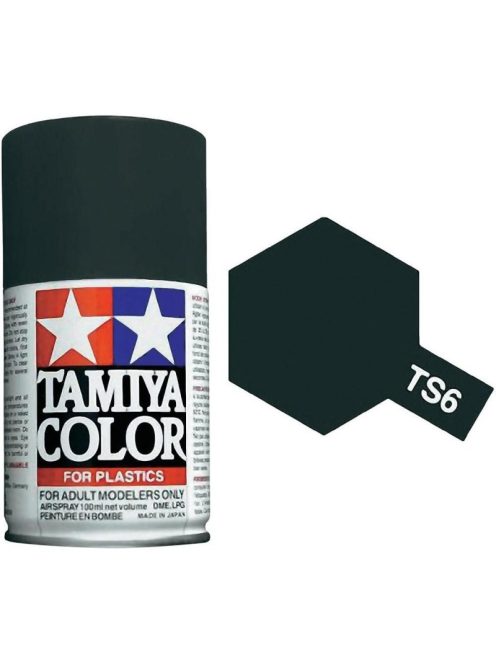 Tamiya - TS-6 Matt Black