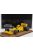 Tecnomodel - LOTUS F1  101 TEAM CAMEL HONDA N 12 AUSTRALIAN GP 1989 SATORU NAKAJIMA - CON VETRINA - WITH SHOWCASE YELLOW
