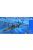 Trumpeter - Kawanishi H6K5/23 Typ 97 Flugboot