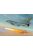Trumpeter - US F-106A Delta Dart