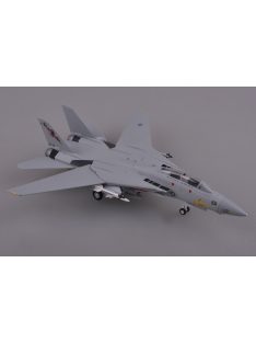 Trumpeter Easy Model - F-14B VF-24 1991