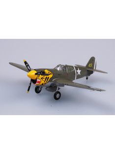 Trumpeter Easy Model - P-40E 11FS 343FG 1942