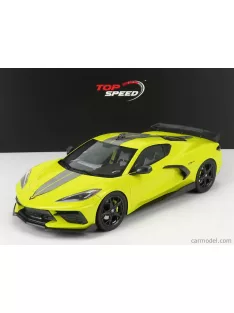   Truescale - Chevrolet Corvette Stingray N 0 Imsa Gtlm Championship Edition 2020 Yellow