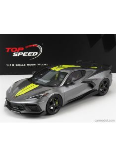   Truescale - Chevrolet Corvette Stingray N 0 Imsa Gtlm Championship Edition 2020 Grey Yellow