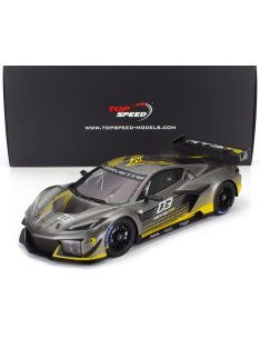   TrueScale - CADILLAC CORVETTE Z06 GT3.R N 03 PRESENTATION 24h DAYTONA 2023 GREY YELLOW