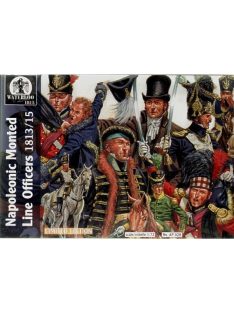 Waterloo 1815 - Napoleonic mounted Line officers