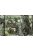 Waterloo 1815 - Italian Infantry Support group WWII