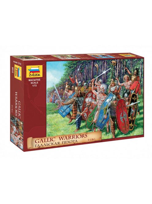 Zvezda - Gallic Infantry
